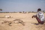 L'Afrique frappée par des conditions météorologiques extrêmes