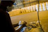 Le secteur minier à l’épreuve du Covid-19 en République Démocratique du Congo