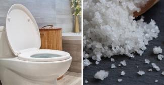 Infos congo - Actualités Congo - -Toilettes : pourquoi faut-il verser du sel tous les jours dans la cuvette ?