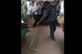 En Indonésie, un homme tue un serpent à main nue dans un train de banlieue