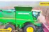 Kaniama Kasese/ Saison agricole 2024 - 2025 : plus de 25 000 tonnes de maïs attendues, contre 16 000 l'an dernier