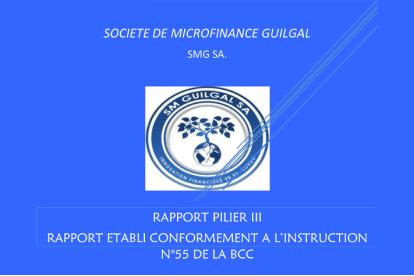 Infos congo - Actualités Congo - -Rapport PILIER III : Rapport établi conformément à l’instruction N°55 de la BCC