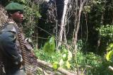 Dans le camp Garlic, une des places fortes des ADF