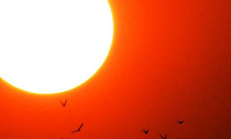 Infos congo - Actualités Congo - -La sonde Parker Solar Probe livre ses premières observations sur l'environnement "chaotique" du...