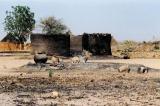 Soudan: près de 50 morts dans des violences au Darfour