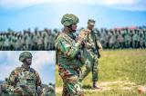 Nord-Kivu : Pris au piège après l’appel de Sulutani Makenga, des militaires pro-FARDC abandonnés à Rumangabo