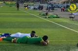 Tanzanie : des abeilles interrompent un match de foot