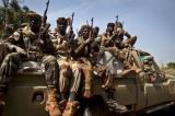 L’armée tchadienne en renfort au Niger pour « traquer » Boko Haram