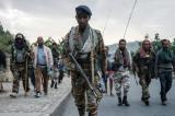 Ethiopie: au moins 125 civils tués par des rebelles tigréens début septembre