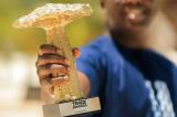 Trace Awards 2025 : interruption de l’événement, qu’est-ce qui s’est passé ?