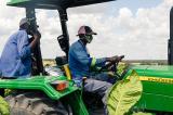 Covid-19 : « L'Afrique doit revoir son système agricole et alimentaire »