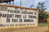 Ituri : la justice pénale à l’arrêt depuis plus de deux ans au Tribunal de paix de Mambasa