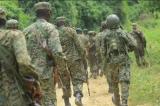 RDC-Ouganda : les ADF financés par le groupe Etat islamique