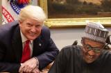 Rencontre avec Trump : Buhari a trahi les africains selon l’ancien Président du Botswana
