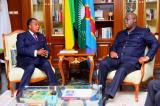 Fonds bleu pour le Bassin du Congo: Félix Tshisekedi chez Denis Sassou N'Guesso