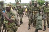 Entrée de l'UPDF en RDC: une « solution provisoire » en attendant la réorganisation de l'armée » (source gouvernementale)