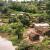 Infos congo - Actualités Congo - -Maï-Ndombe : une femme tuée par un buffle dans la forêt du village de Bisiala, à Kwamouth