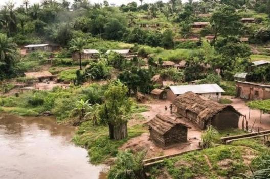 Maï-Ndombe : une femme tuée par un buffle dans la forêt du village de Bisiala, à Kwamouth
