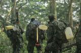 L'armée ougandaise promet que les rebelles ADF seront bientôt éliminés
