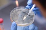 Dix informations rassurantes à propos du coronavirus