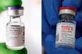 Covovax : un nouveau vaccin anti-Covid, meilleur que les autres ?