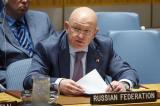 « La déstabilisation du Mali est le résultat des actions irresponsables des pays occidentaux en Libye » (Russie)