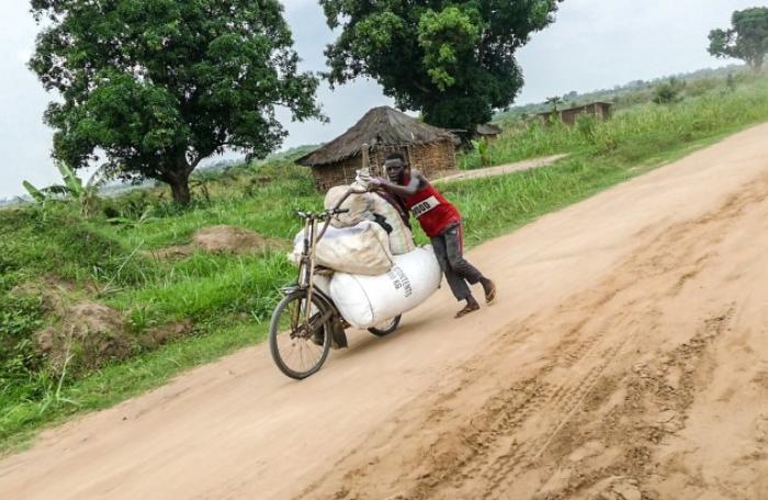 Info Congo - Actualité Congo -  - -La SNCC hors service, les vélos assurent l'approvisionnement en maïs à Kananga