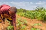 Vers l’opérationnalisation de la Force climatique africaine