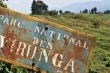 Parc national des Virunga : le gouvernement projette un déclassement en vue d'une exploitation pétrolière