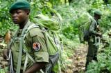 Virunga: un autre écogarde tué à Bukima