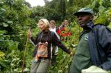 Les deux touristes britanniques kidnappés dans les Virunga sont libres