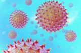 Focus sur les virus: Infiniment petits et pourtant  potentiellement surpuissants 