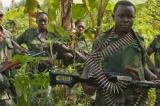 Nord-Kivu : les « Wazalendo » découvrent plusieurs corps sans vie dans le parc national des Virunga