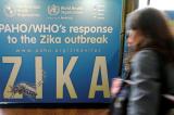 Zika : deux vaccins efficaces contre des souris, espoir pour l'homme