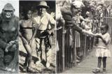 Histoire: En 1958, les belges ont exposé des Congolais dans un zoo humain