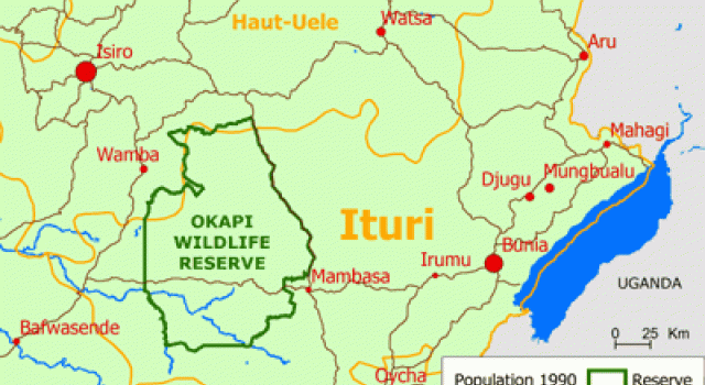 Irumu: un agent de renseignement abbatu par des hommes en armes dans la localité de Nyankunde